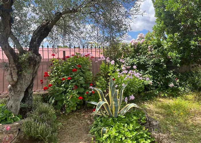 Casa Rural La Moranta